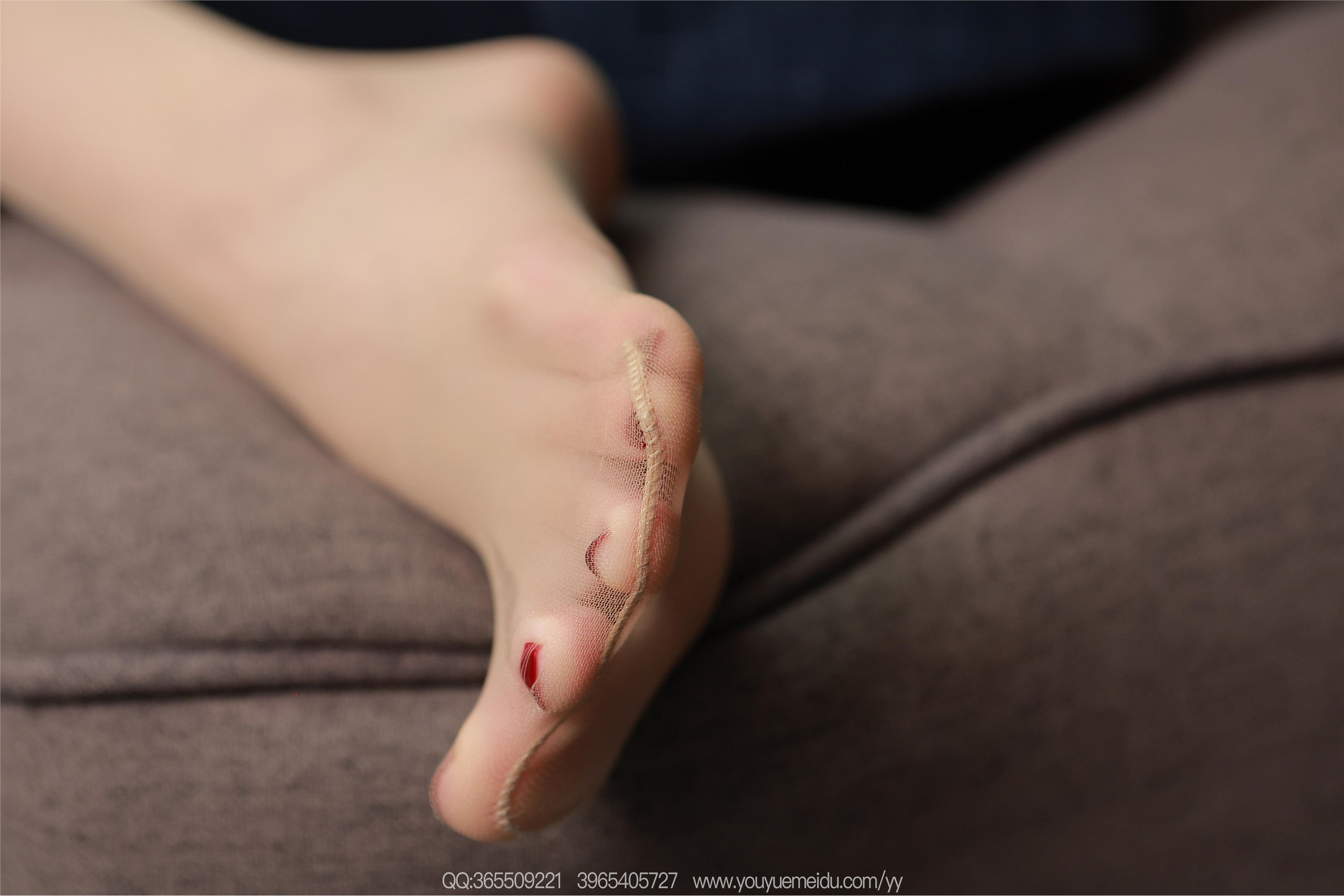 IESS异思趣向  2025.12.29 丝享家2251：团团《亮晶晶（下）》